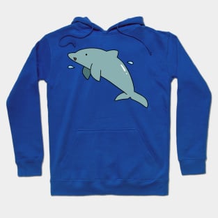 Dolphin Splash Hoodie